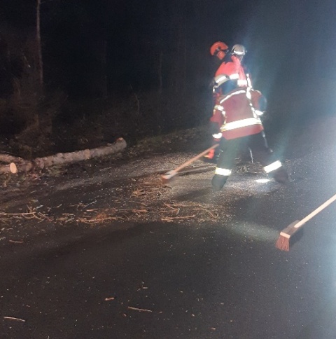 20230311_004909_resized zugeschnitten groß.jpg